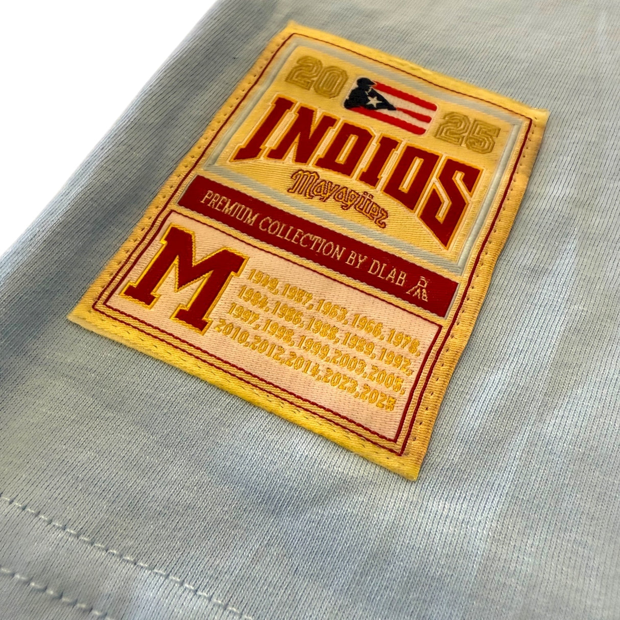 INDIOS x DLAB Loose Fit Tee "Indios + Mangoito"